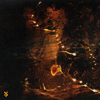 Arutani – Diffusion