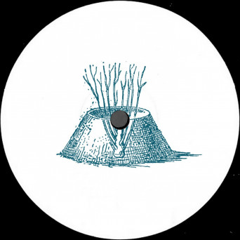 Shcuro – Echo Chamber