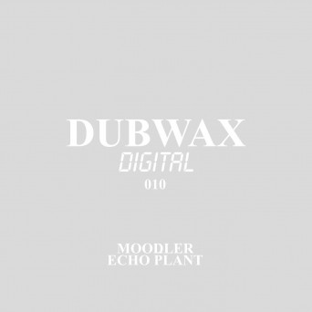 Moodler – Echo Plant