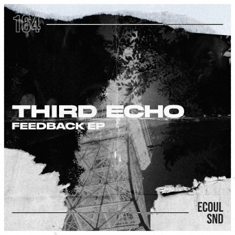 Third Echo – Feedback