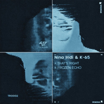 Nina Indi – Frozen Echo