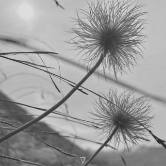 Martin Jarl & Pablo Bolivar – My Friend J