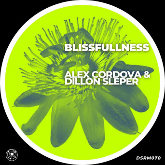 Dillon Sleper – Blissfullness