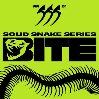 VA – Solid Snake Series 01