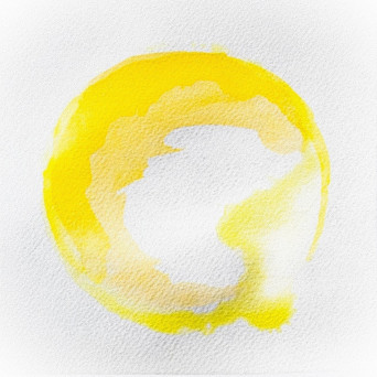 Piante Vive – Bamboo