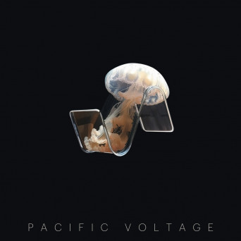 Pacific Voltage – Panpsychism