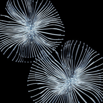 BOg – This Feeling