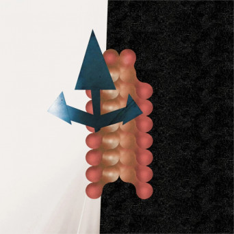 Wata Igarashi, Polygonia – Cross Passage