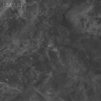 Vakula – Cloud Bloom / Echoes