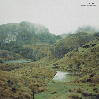 Acid Pauli – Den Mahlstrom rauf