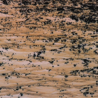 Juan Evangelista – Ecos del Río Muerto