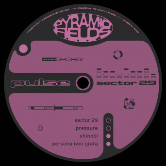 PULSE – Sector 29