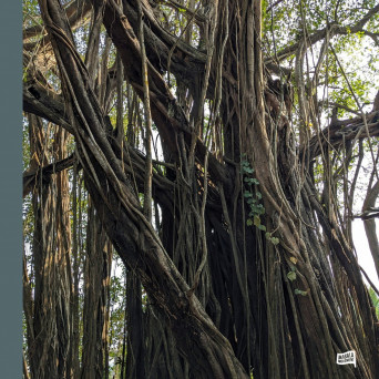 Pawas & Unnayanaa – OMM EP