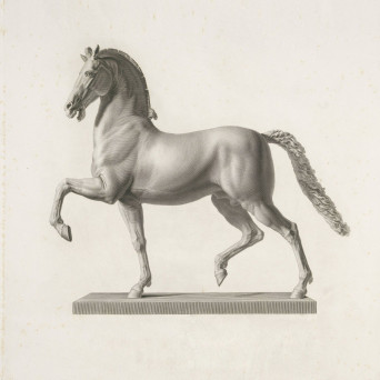 Dimi Angélis – The Sequel