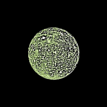 Phasmid – Callisto