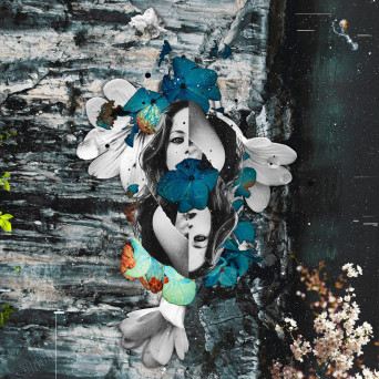 Marco Ramos – Fauna & Flora