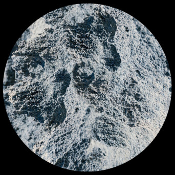 David Reina – You Got The Key