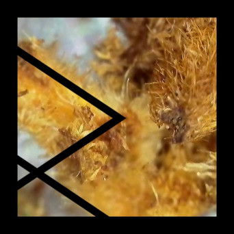 Remcord – AFTR Midnight EP