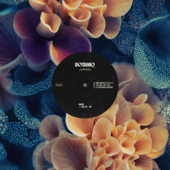 KOKO.IT – CD-10 EP