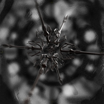 Desirée Falessi – Obsidian