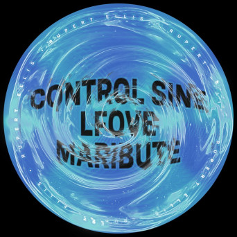 Rupert Ellis – Memories Of A Beautiful Place