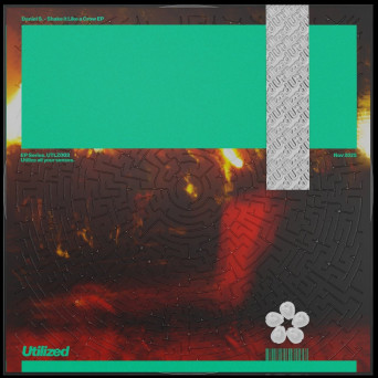 Daniel S. – Shake It Like a Crow EP