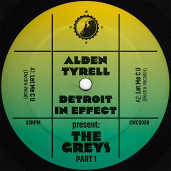 Alden Tyrell & Detroit in Effect – Present The Greys. PART 1