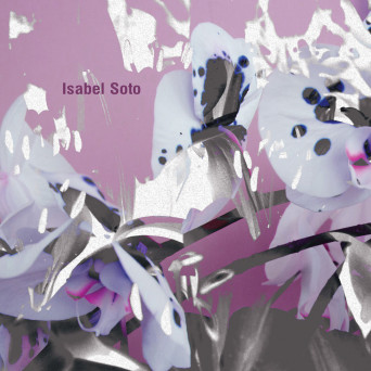 Isabel Soto – Morphosis