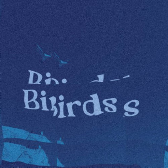Redeyes – Birds