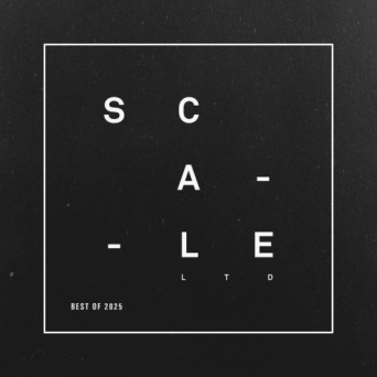 VA – Scale Limited – Best Of 2025