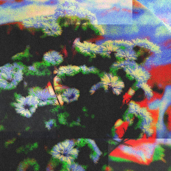 Jinjé, A. Montane – Neon Garden EP