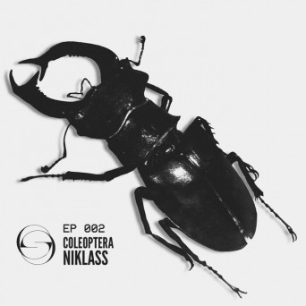 Niklass – Coleoptera