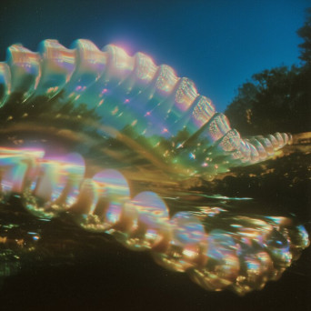 Rollin – Macro Plastic