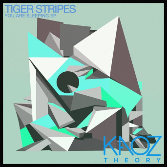 Tiger Stripes – You Are Sleeping EP