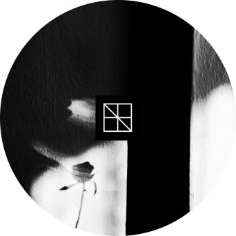 dxrvo – 404 Dreams