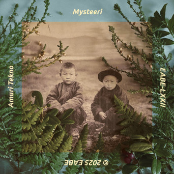 Amuri Tekno – Mysteeri