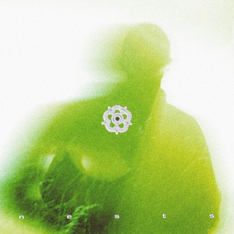 Aspen – Nests pt. I