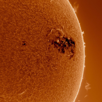 Damne & Nicko Shuo – Dark Forest EP