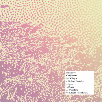 Mikkelrev – California