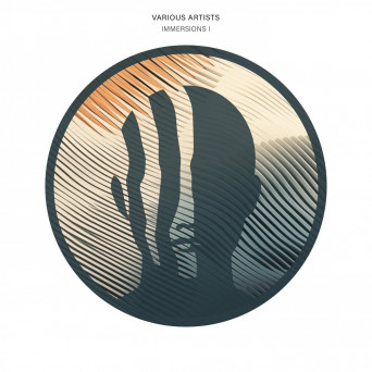 VA – Immersions I
