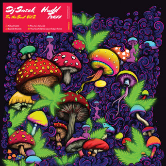 DJ Sneak – For The Soul, Vol. 2