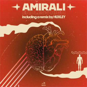 Amirali – Endless High