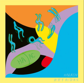 Harmon – Happy Accidents