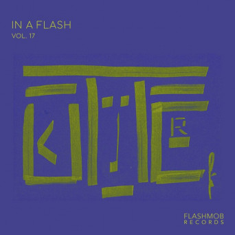 VA – In a Flash, Vol. 17 (Radio Edit)