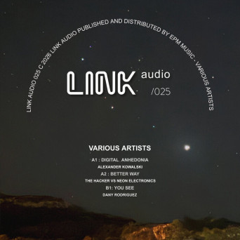 VA – LINK Audio Various Artists Release