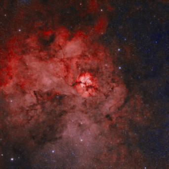 VA – Mutable Minds XI