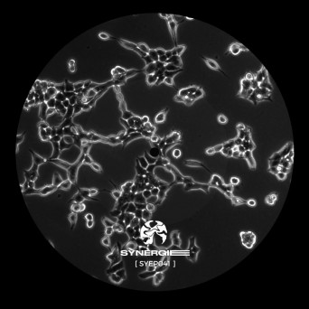 Spaaax – Night Laboratory