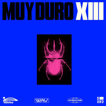 VA – Muy Duro, Vol. 13