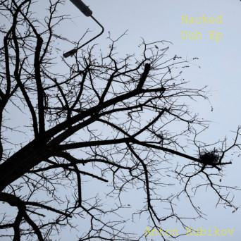 Anton Kubikov – Naked Dub