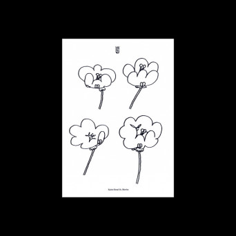 Lawrence – Poppies